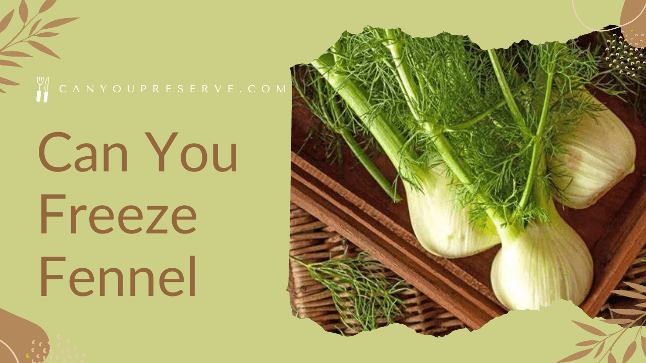 Can You Freeze Fennel