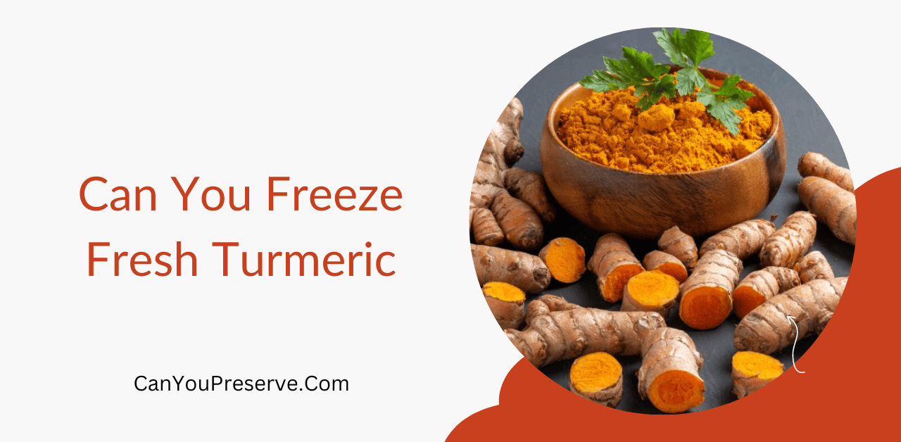 Can You Freeze Fresh Turmeric
