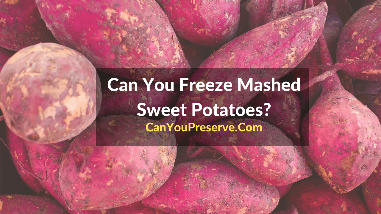 Can You Freeze Mashed Sweet Potatoes