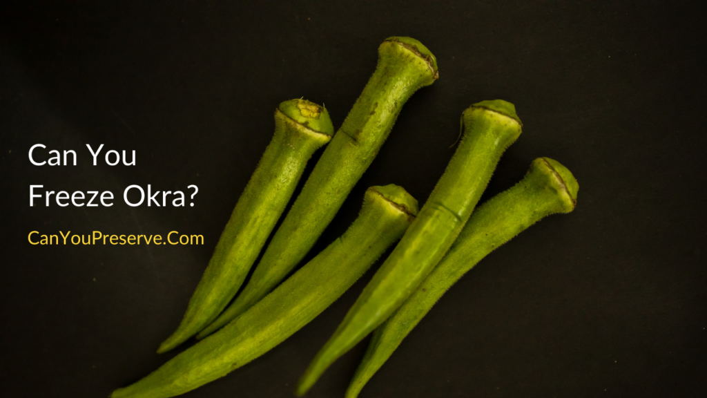 Can You Freeze Okra How To Freeze Okra In Simple Steps? Can You Preserve