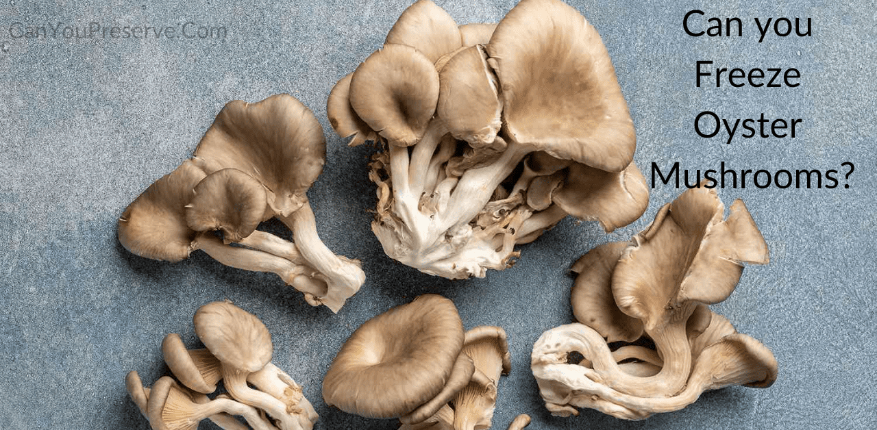 Can You Freeze Oyster Mushrooms