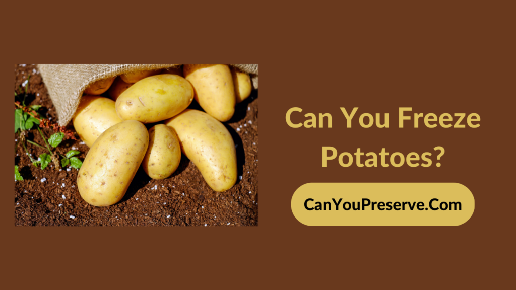 Can You Freeze Potatoes How To Freeze Potatoes The Right Way Can