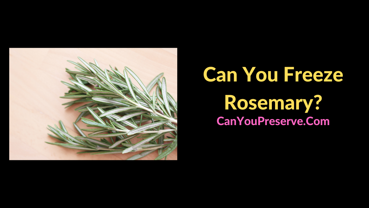 Can You Freeze Rosemary