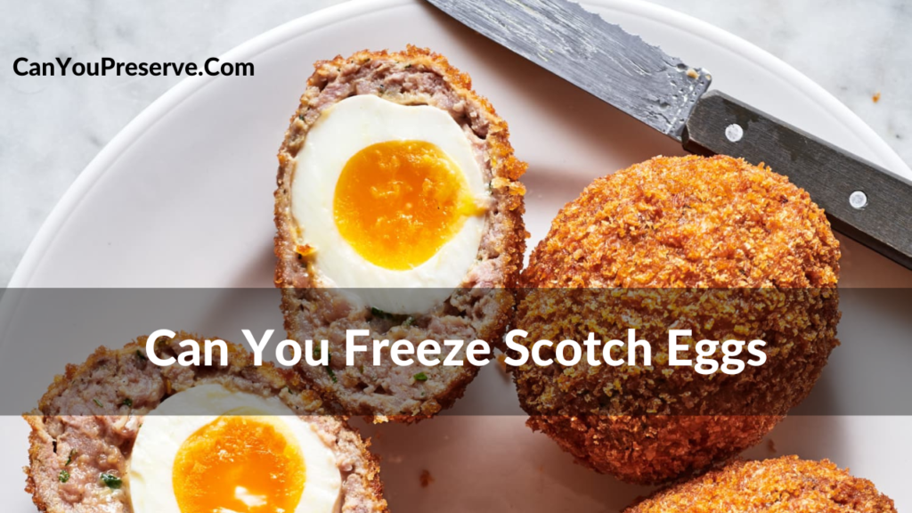 Can You Freeze Scotch Eggs How Do You Store Scotch Eggs In The