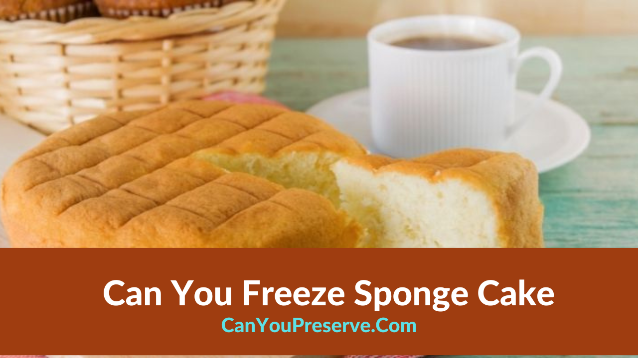 Can You Freeze Sponge Cake