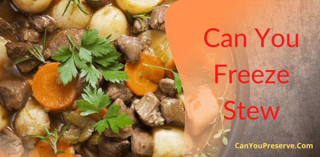 Can You Freeze Stew? What’s The Best Way to Cook & Freeze Stew? Can