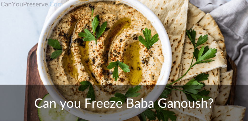 Can you Freeze Baba Ganoush? A Simple Guide To Freeze Ganoush Can