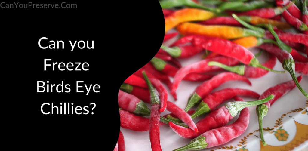 Can you Freeze Birds Eye Chillies? An Ultimate Guide on Freezing and