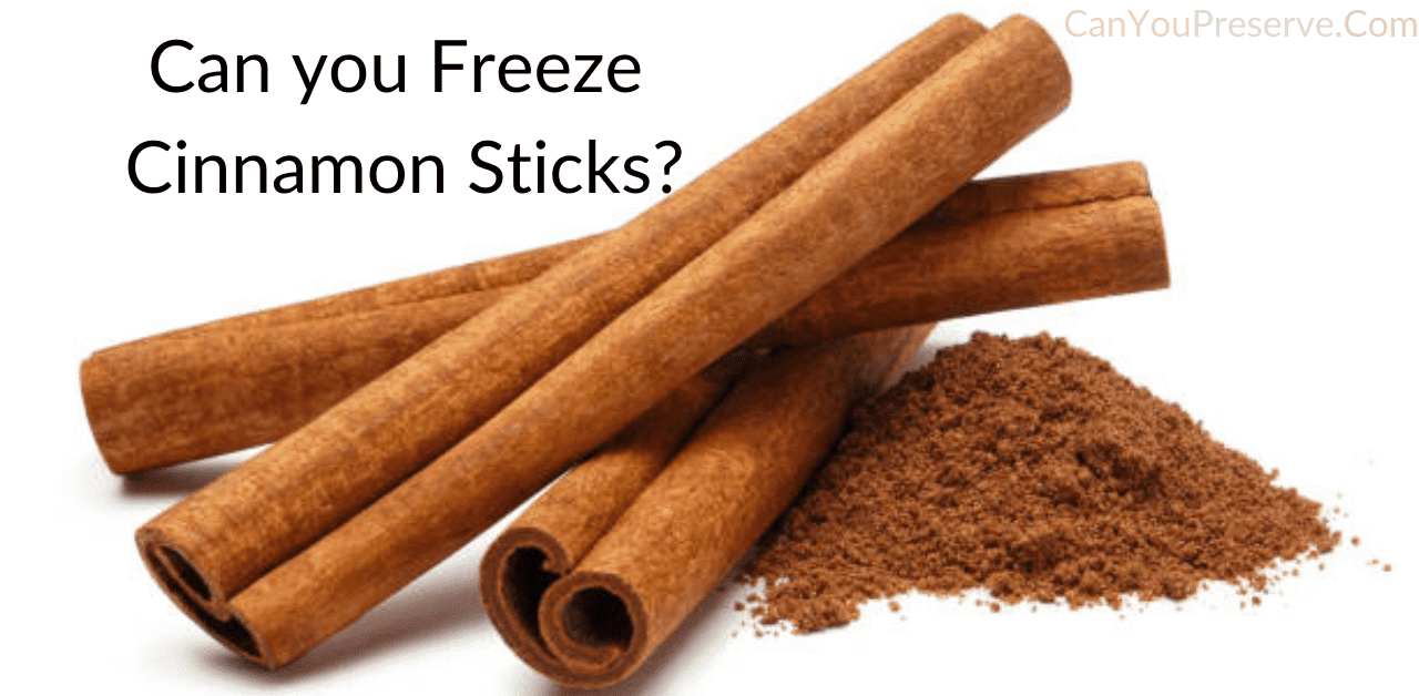 Can you Freeze Cinnamon Sticks