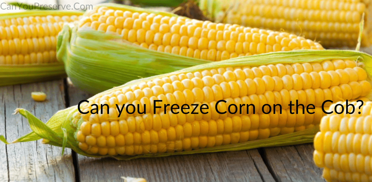 Can you Freeze Corn on the Cob