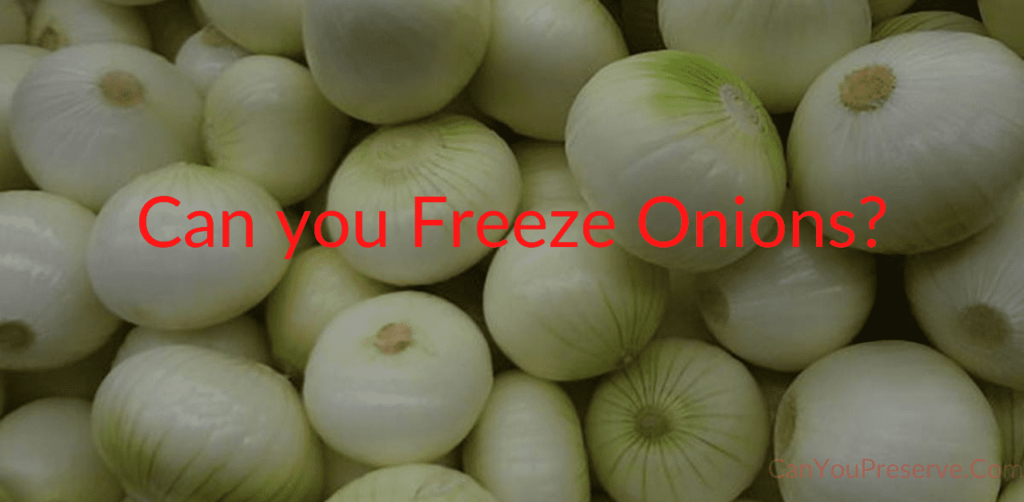 Can you Freeze Onions? Know the Best Methods to Freeze and Defrost