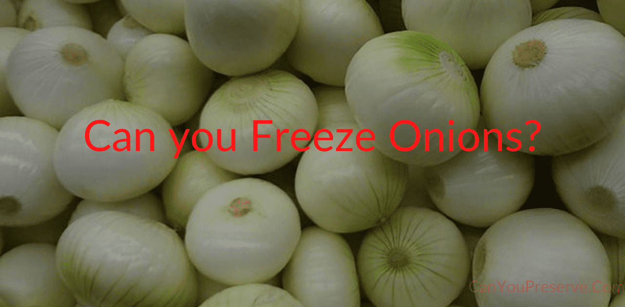 Can you Freeze Onions