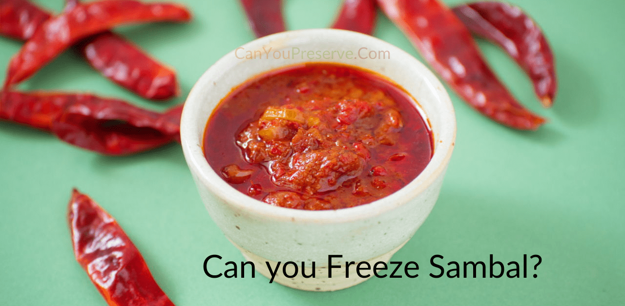 Can you Freeze Sambal