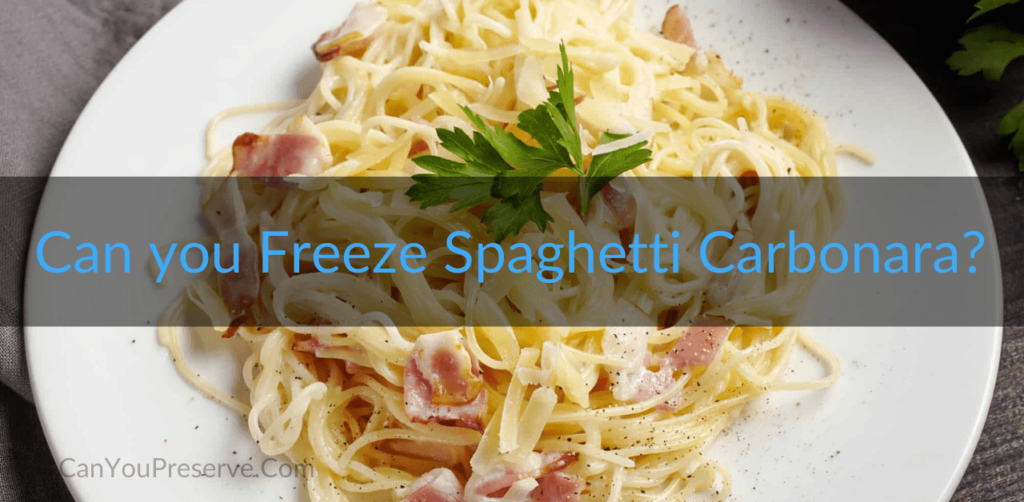 Can You Freeze Spaghetti Carbonara? How to Freeze Spaghetti Carbonara