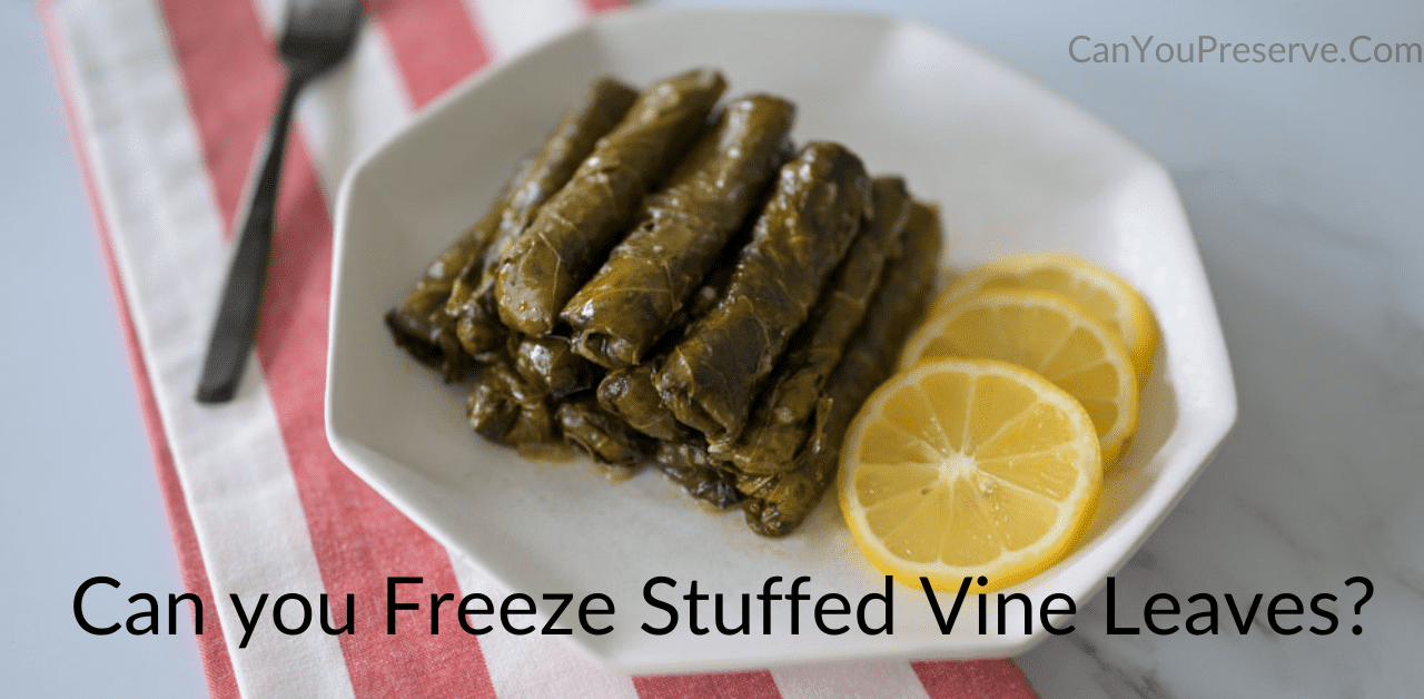 Can you Freeze Stuffed Vine Leaves