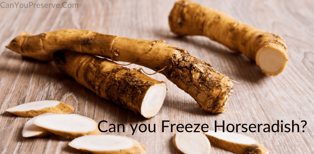 Can You Freeze Horseradish? Know Multiple Ways To Freeze Horseradish