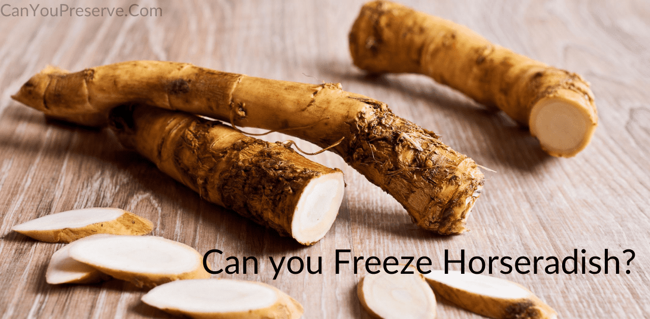 Can you freeze Horseradish