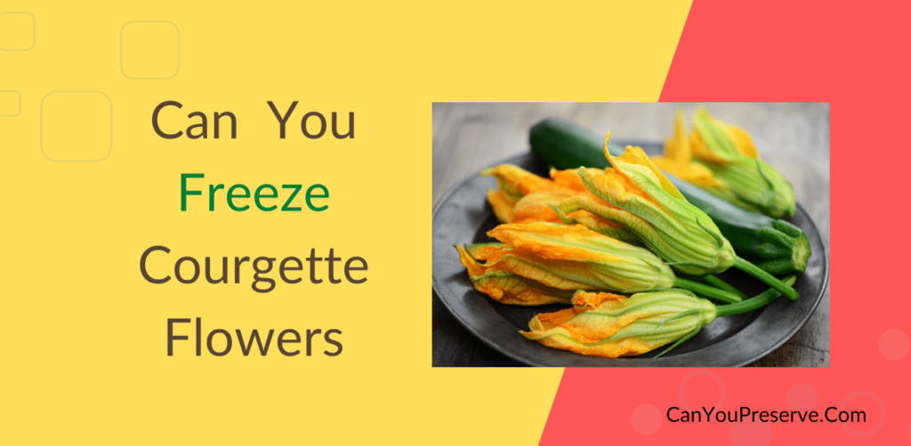 Can You Freeze Courgette Flowers? Best Method To Freeze Courgette
