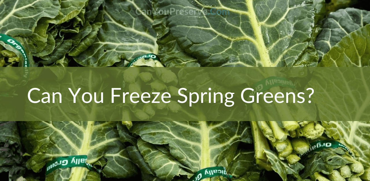 Can you freeze spring greens