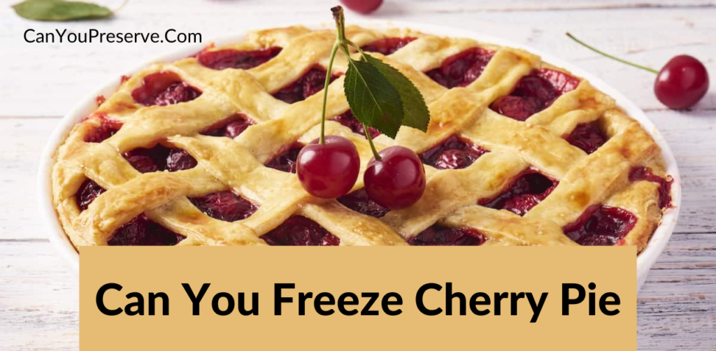 Can You Freeze Cherry Pie? How To Freeze Cherry Pie?Tips For Freezing