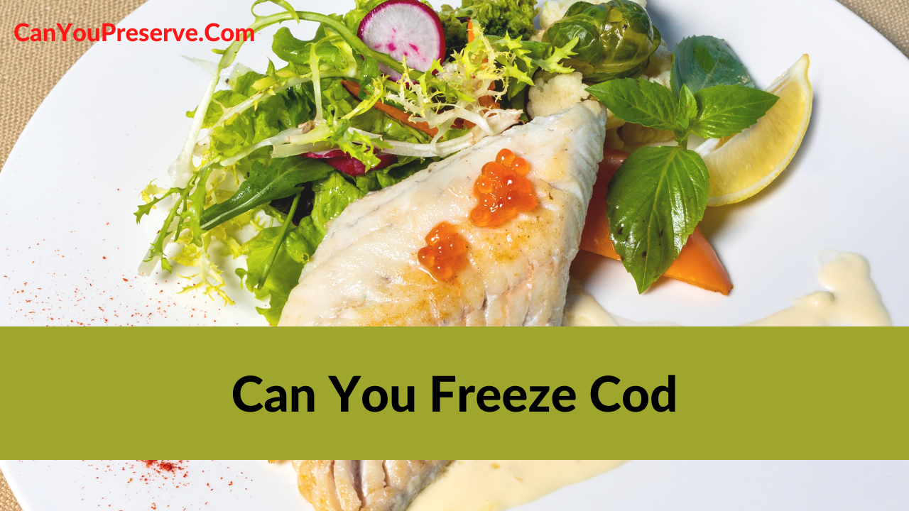 Can You Freeze Cod