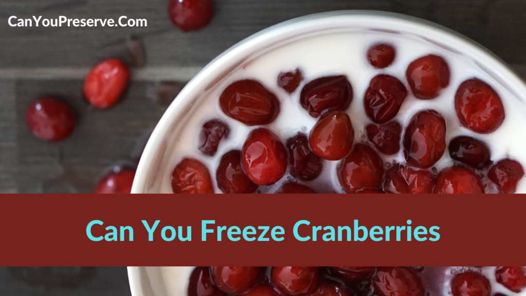 Can You Freeze Cranberries – Guide To Freeze Cranberries To Keep Them