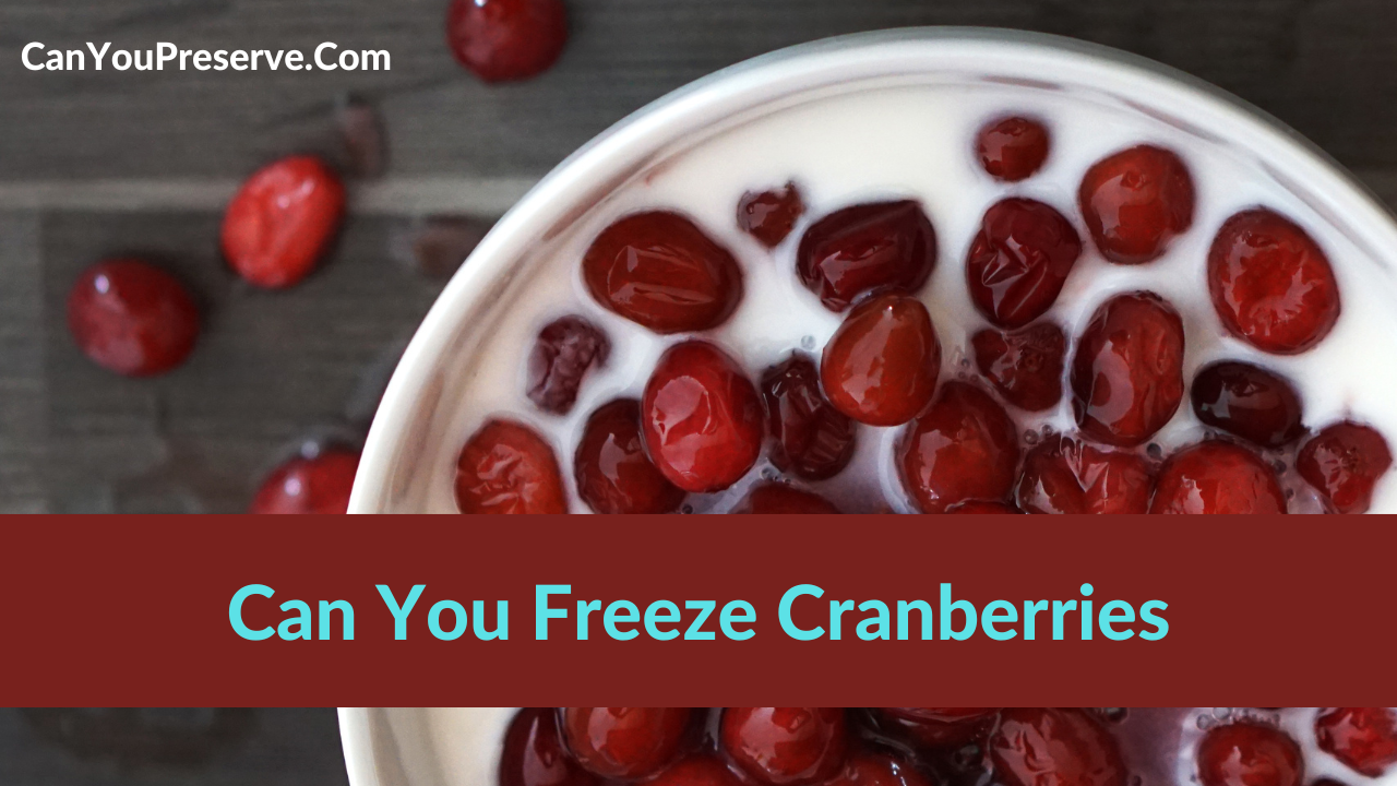 Can You Freeze Cranberries