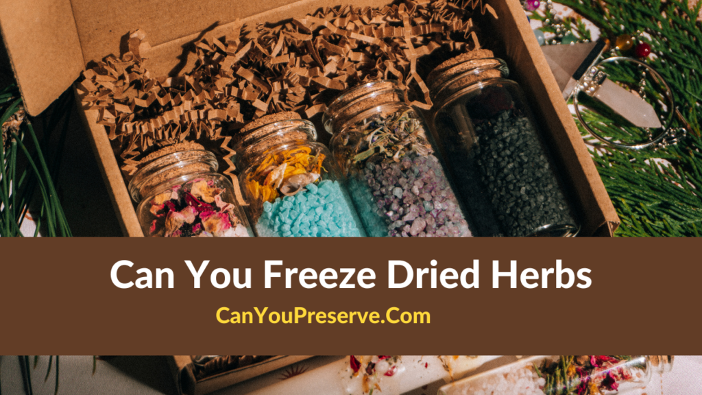 Can You Freeze Dried Herbs How To Freeze Dry Herbs At Home? Can You