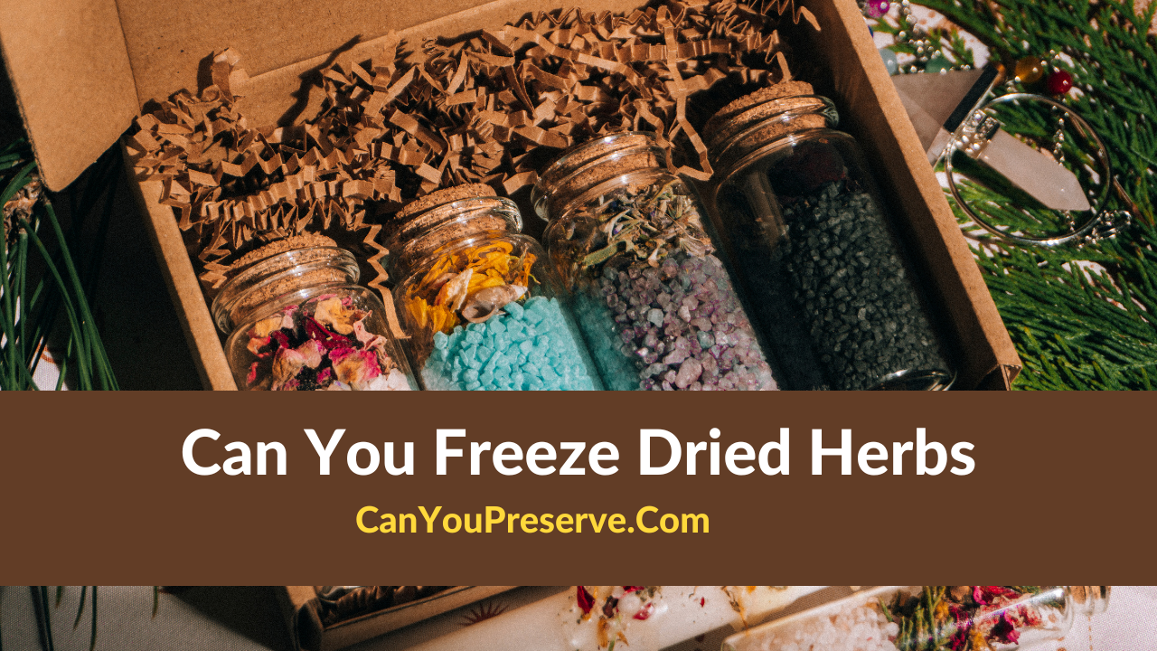 Can You Freeze Dried Herbs