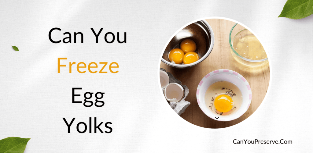 Can You Freeze Egg Yolks Freezing & Defrosting Process Can You Preserve