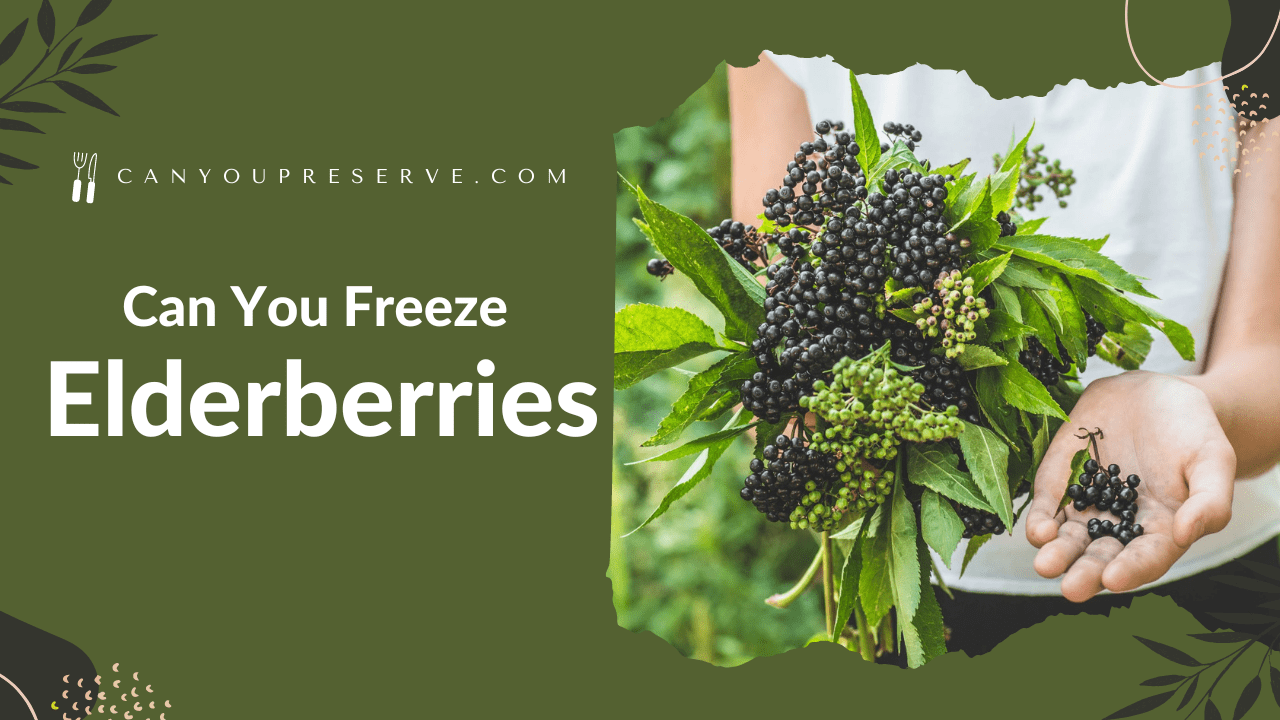 Can You Freeze Elderberries
