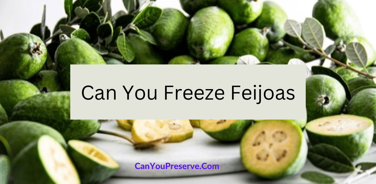 Can You Freeze Feijoas