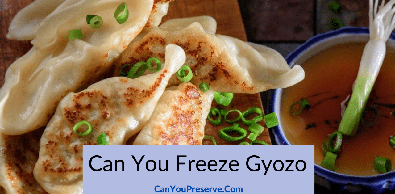 Can You Freeze Gyozo