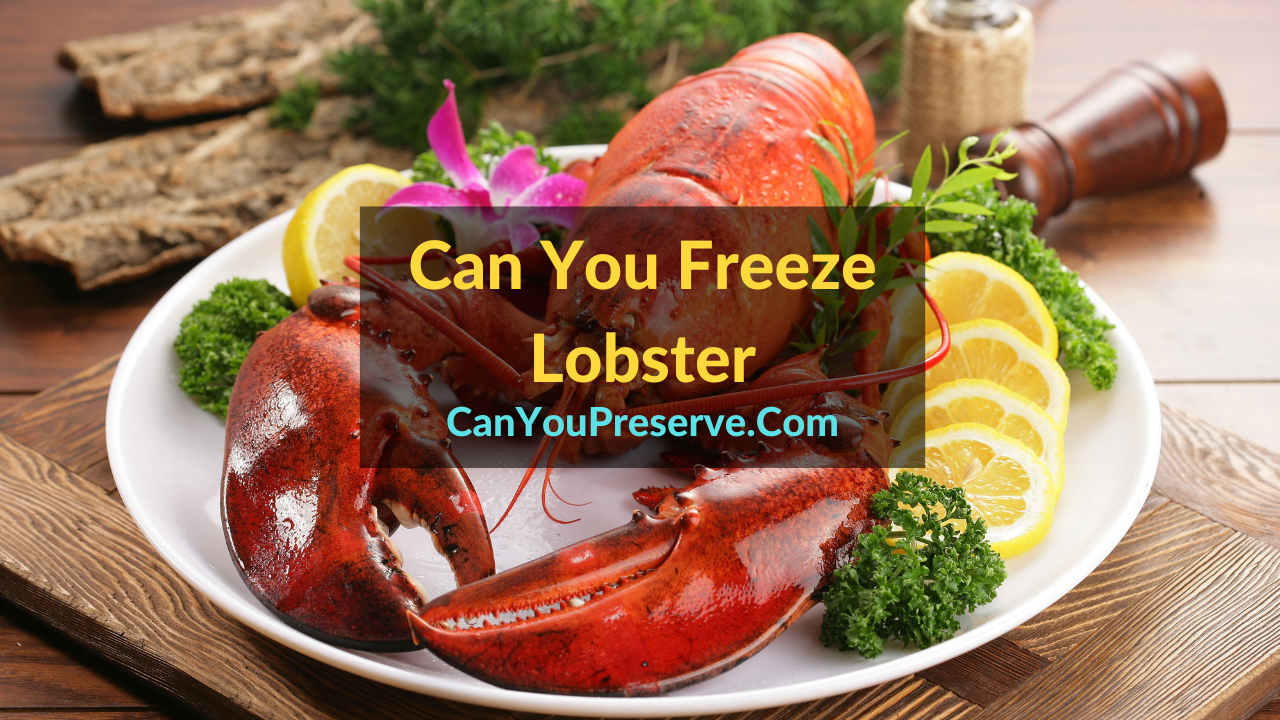 Can You Freeze Lobster