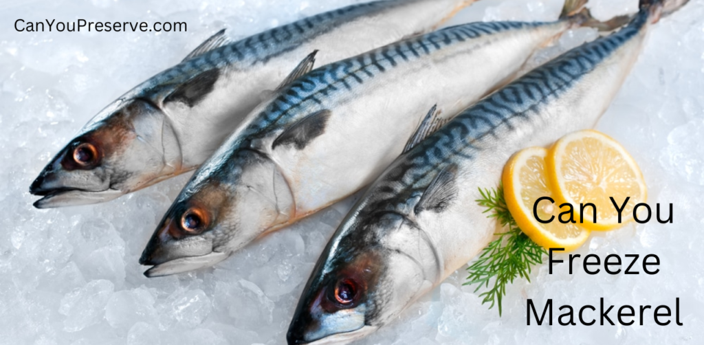 Can You Freeze Mackerel? How Can You Freeze Mackerel? Can You