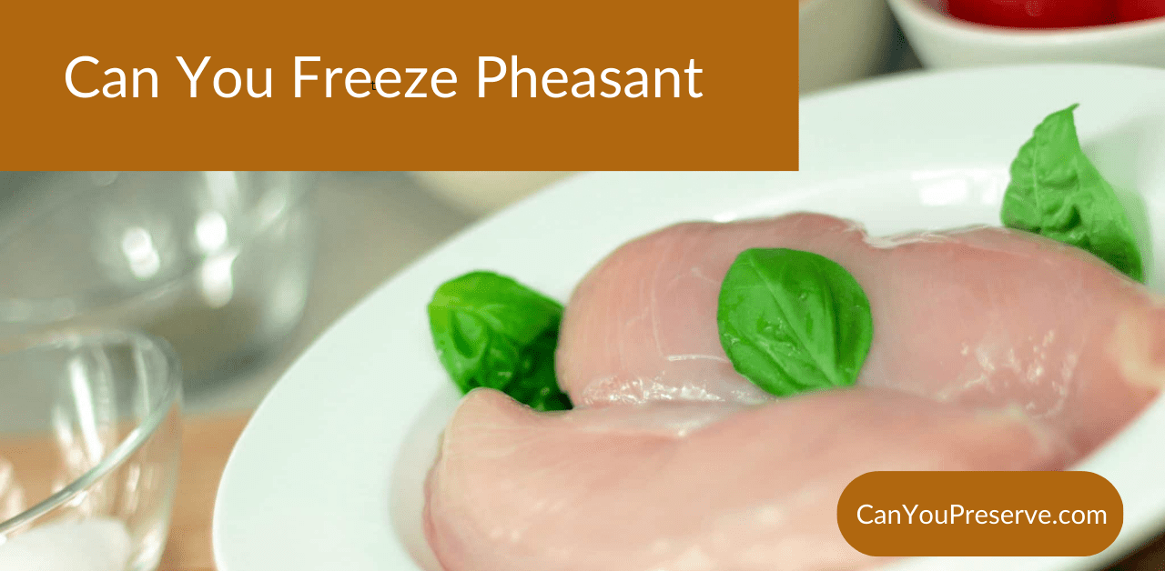 Can You Freeze Pheasant