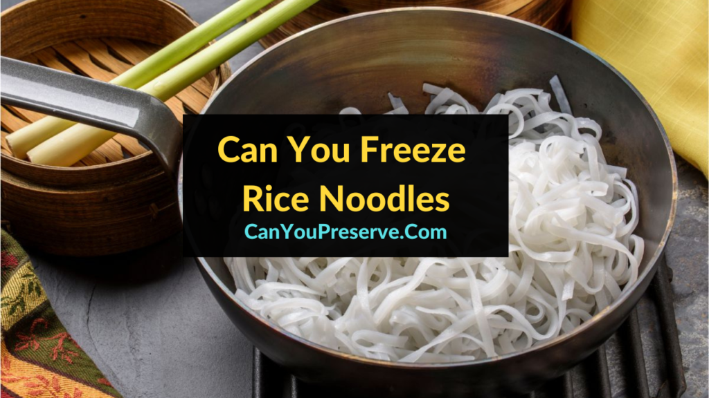Can You Freeze Rice Noodles? Detailed Guide on How To Store & Reheat