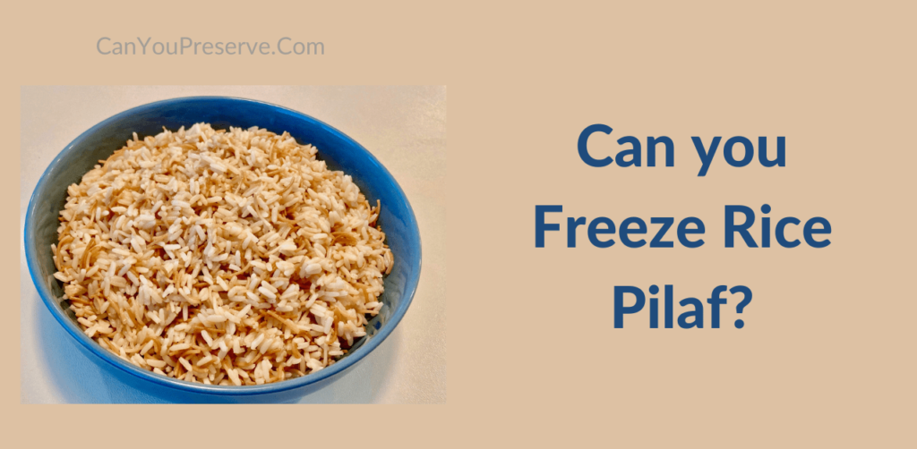 Can you Freeze Rice Pilaf? 3 Methods To Freeze Leftover Rice Pilaf