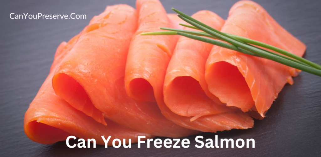 Can you Freeze Salmon? Tips And Tricks To Freeze Salmon Can you