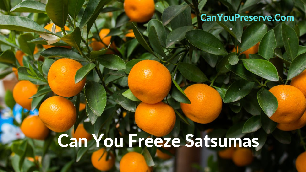 Can You Freeze Satsumas