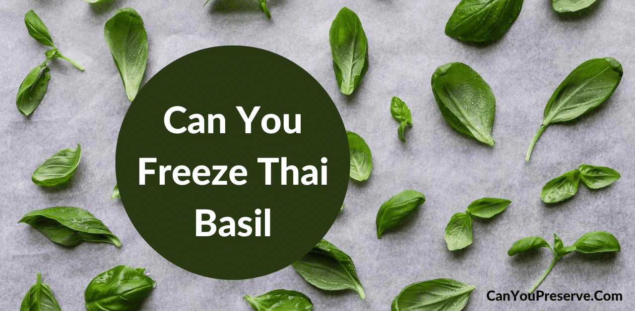 Can You Freeze Thai Basil