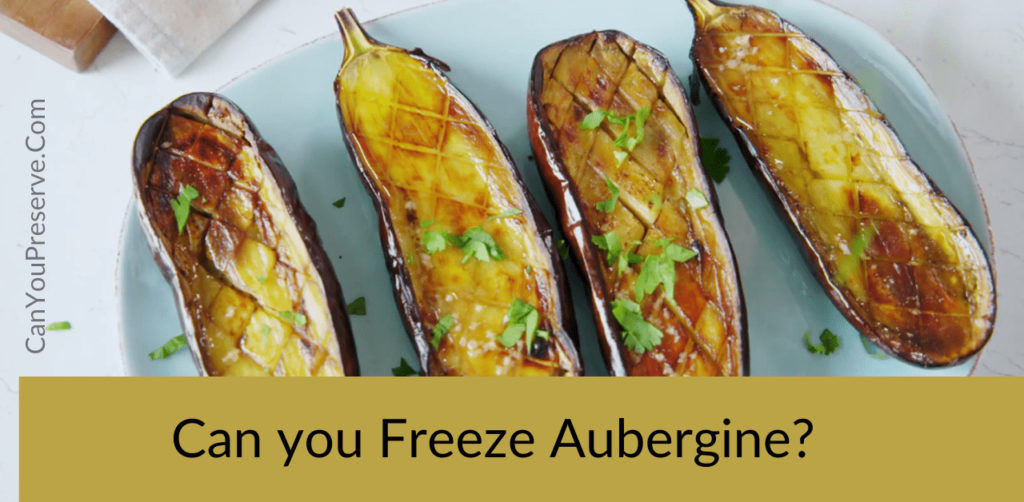Can you Freeze Aubergine? Guide to Freeze Cooked Aubergine Dip Tips to Freeze Aubergine