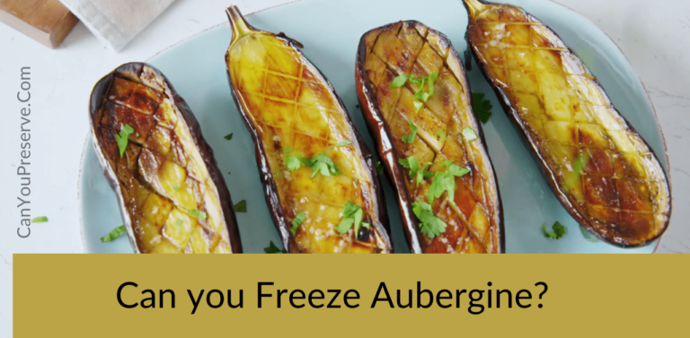 Can you Freeze Aubergine? – Guide to Freeze Cooked Aubergine Dip – Tips