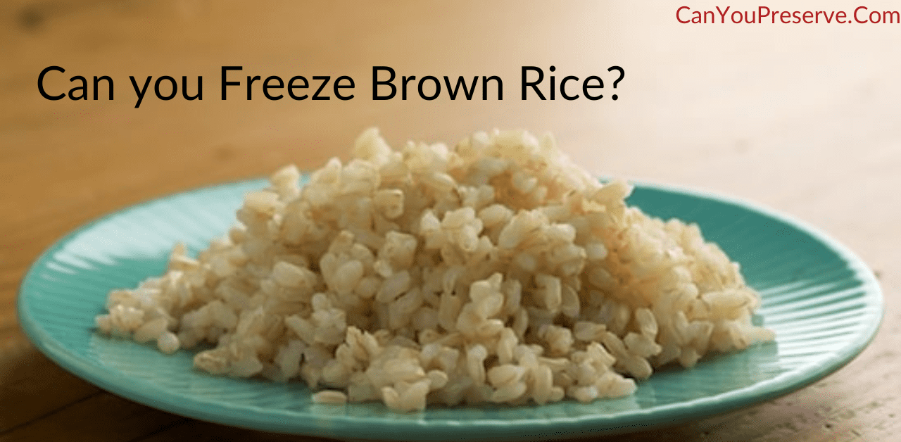 Can you Freeze Brown Rice