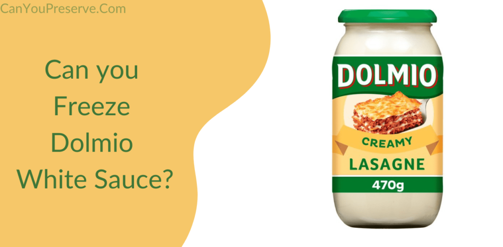 Can you Freeze Dolmio White Sauce? Ways to Freeze Dolmio White Sauce