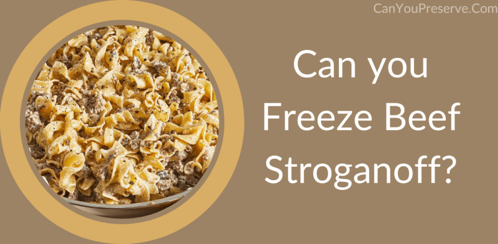 Can you Freeze Beef Stroganoff? How Long Can You Keep Beef Stroganoff