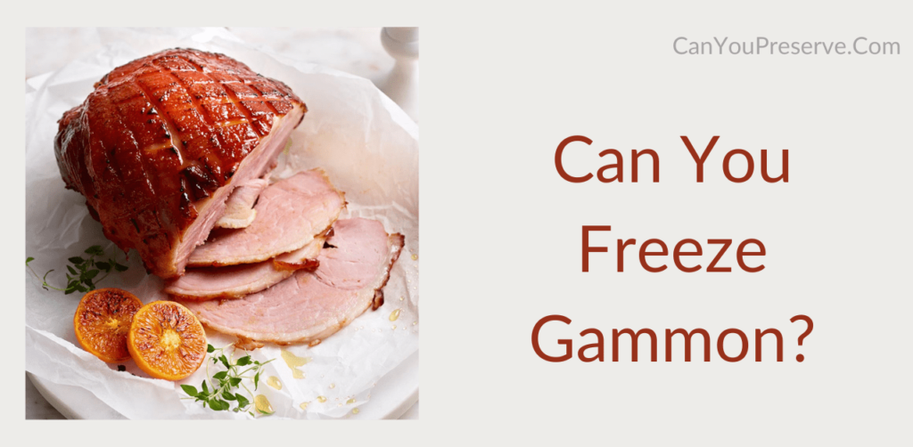 Can you Freeze Gammon? Best Methods & Tips To Freeze Gammon Can You