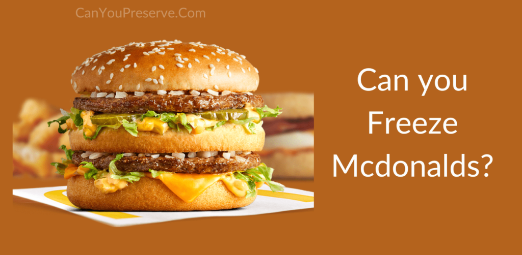Can you Freeze Mcdonalds? How to Reheat Mcdonald’s Burger