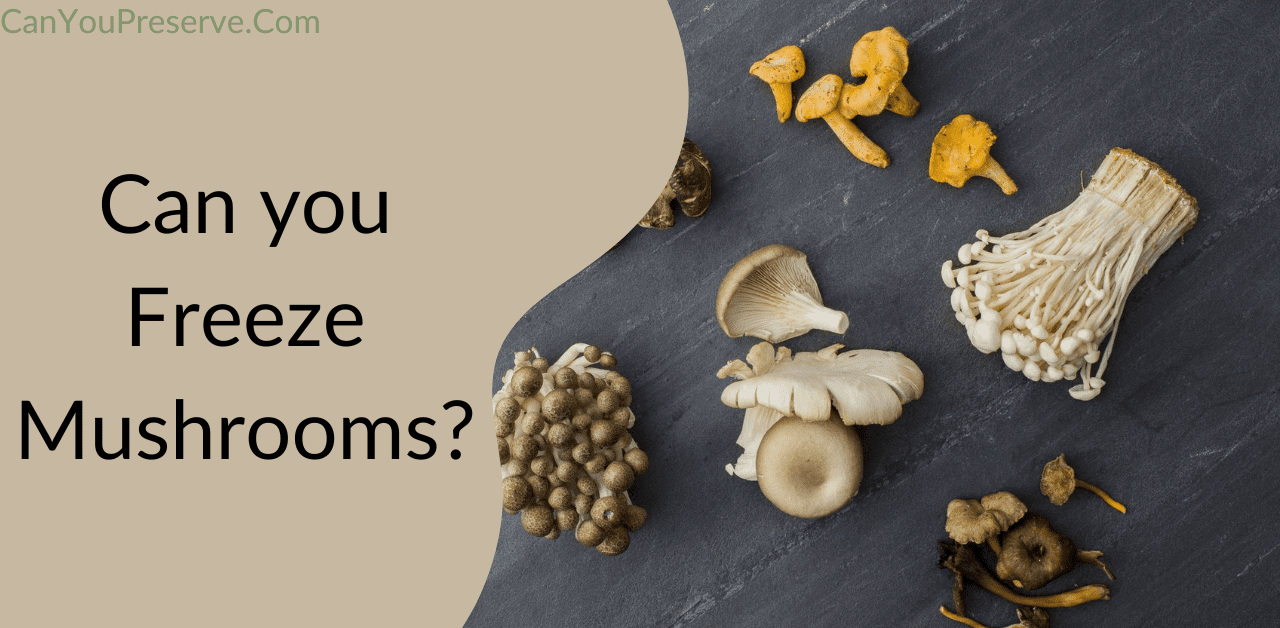 Can you Freeze Mushrooms