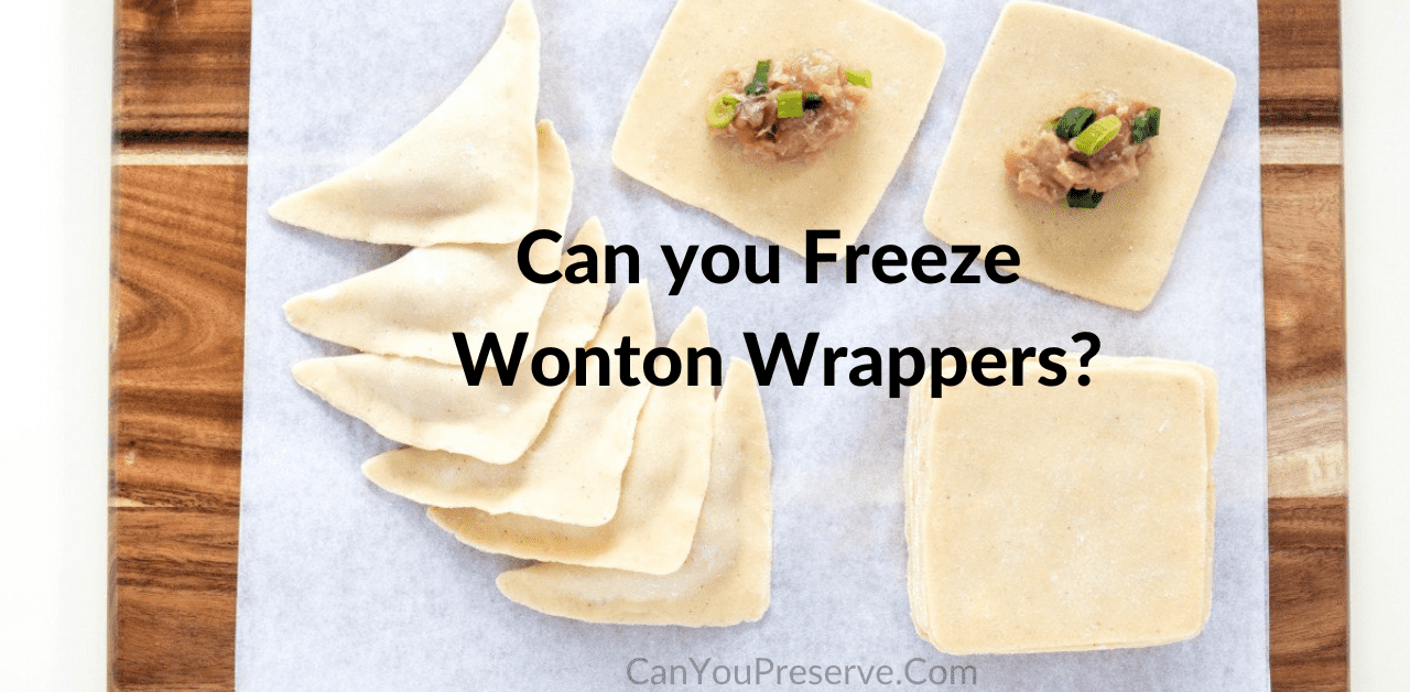 Can you Freeze Wonton Wrappers